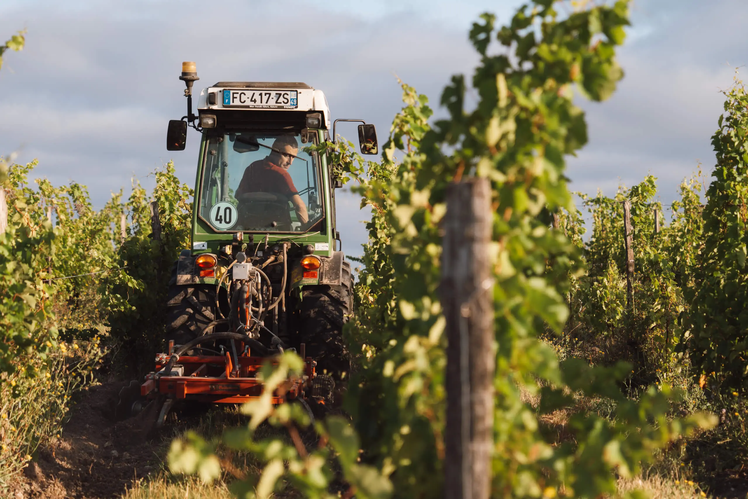Clos Breton, Saumur-Champigny - Langlois Crémant de Loire