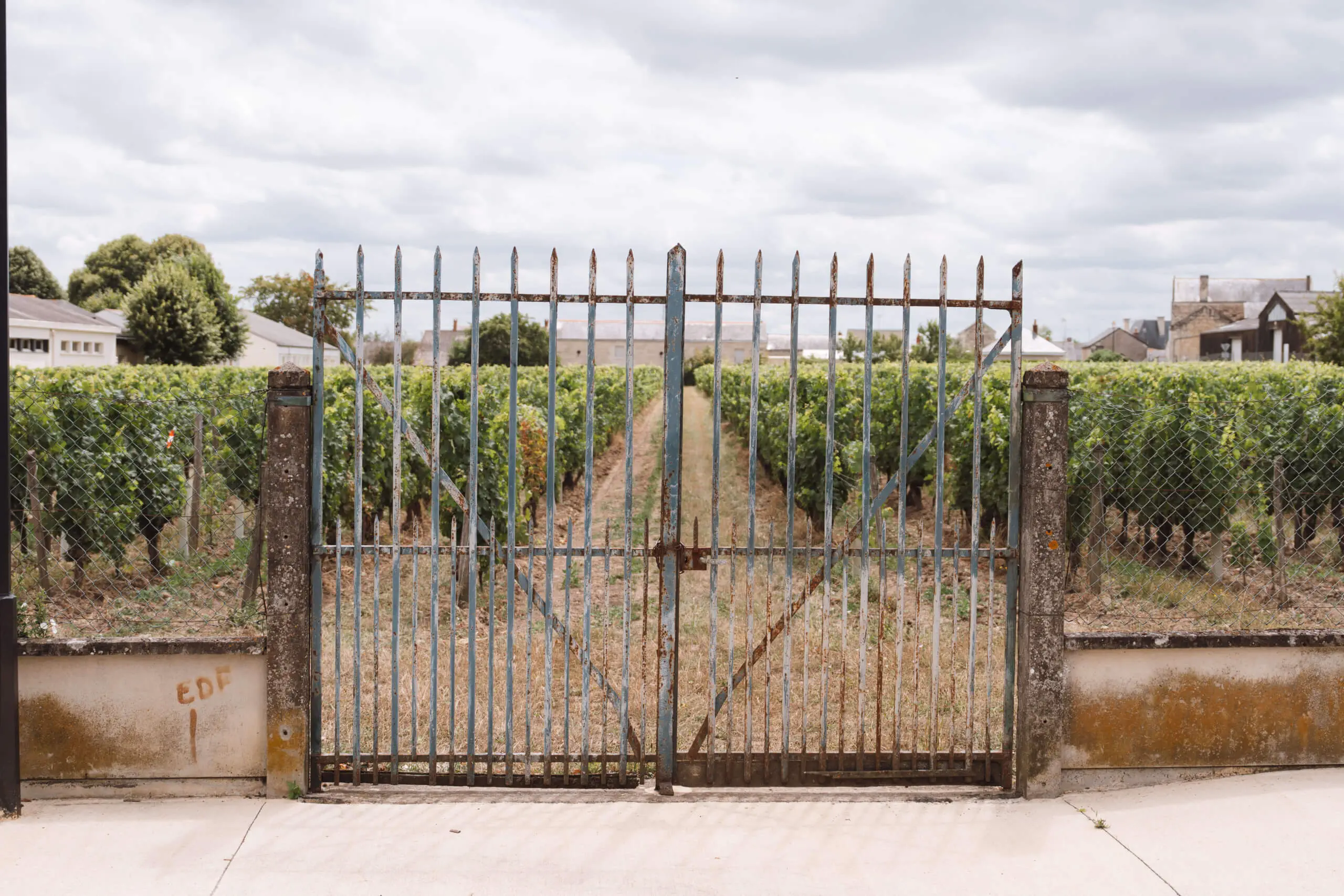 Clos Breton, Saumur-Champigny - Langlois Crémant de Loire